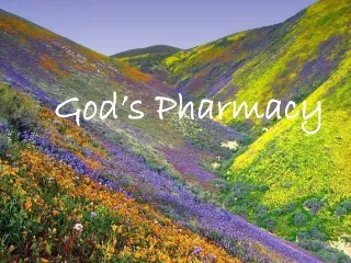 God’s Pharmacy