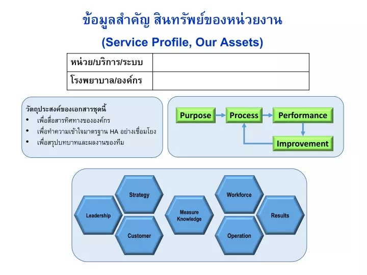 service profile our assets