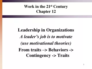 Work in the 21 st  Century Chapter 12