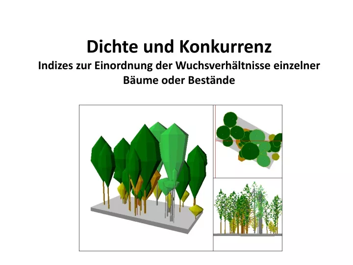 dichte und konkurrenz indizes zur einordnung der wuchsverh ltnisse einzelner b ume oder best nde