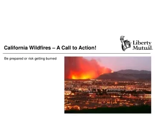 California Wildfires – A Call to Action!