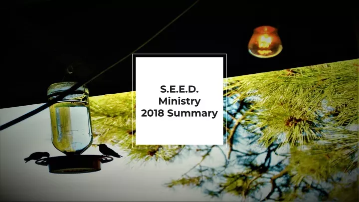 s e e d ministry 2018 summary
