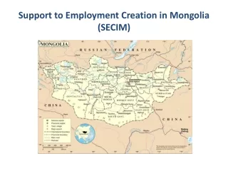 Support to Employment Creation in Mongolia (SECIM)