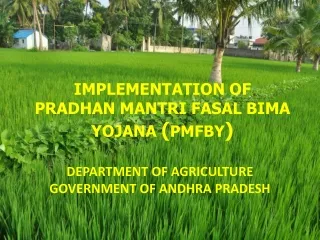 DEPARTMENT OF AGRICULTURE GOVERNMENT OF ANDHRA PRADESH