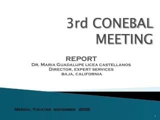 3rd CONEBAL MEETING