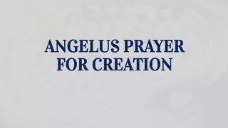 ANGELUS PRAYER  FOR CREATION