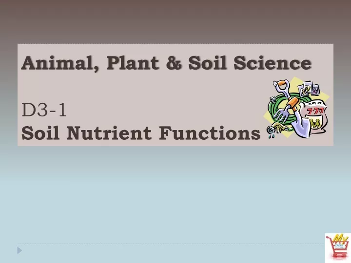animal plant soil science d3 1 soil nutrient functions