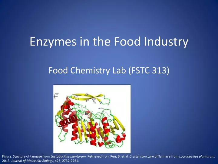 enzymes in the food industry