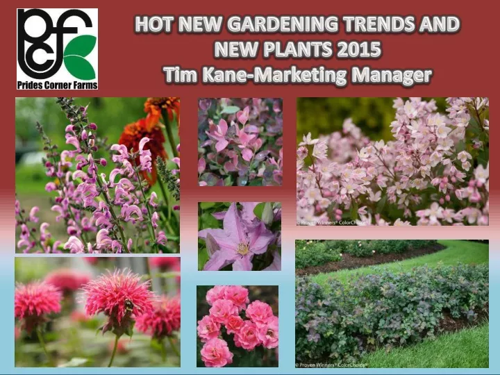 hot new gardening trends and new plants 2015