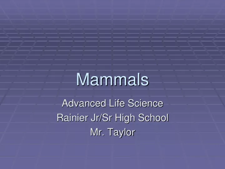 mammals