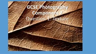 GCSE Photography Component 2 Question 1: Texture