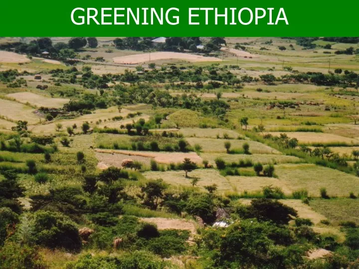 greening ethiopia