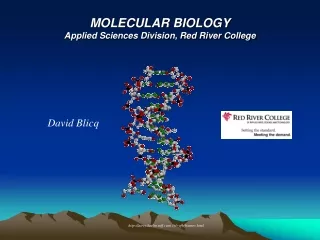 MOLECULAR BIOLOGY  Applied Sciences Division, Red River College