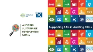 Supporting SAIs  in  Auditing SDGs