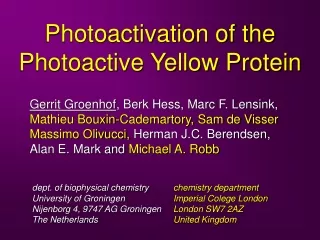 Photoactivation of the  Photoactive Yellow Protein