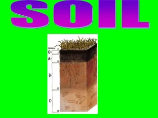 SOIL