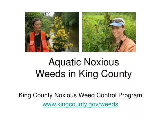 Aquatic Noxious Weeds in King County