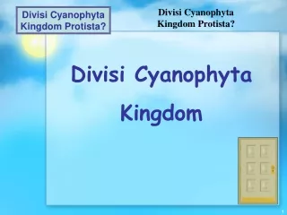 Divisi Cyanophyta Kingdom