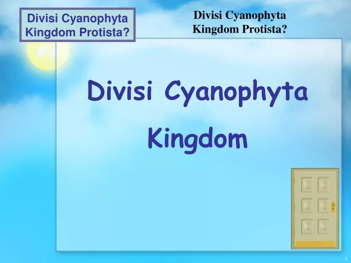 divisi cyanophyta kingdom protista