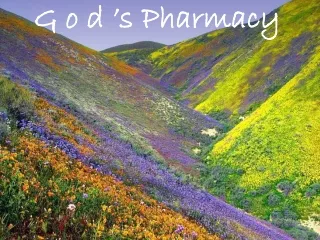 G o d ’s Pharmacy