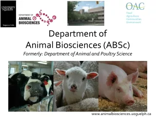 Department of Animal Biosciences (ABSc) Formerly: Department of Animal and Poultry Science