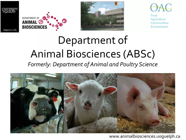 department of animal biosciences absc formerly department of animal and poultry science