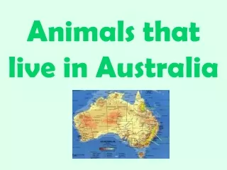 Animals that live in Australia