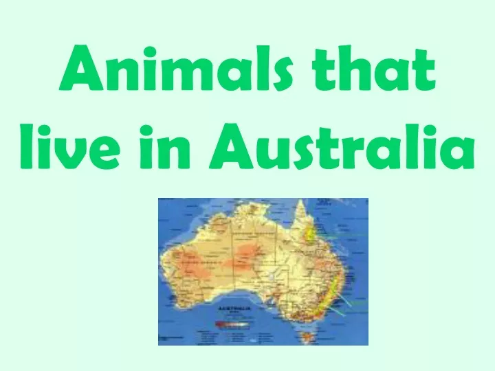 animals that live in australia