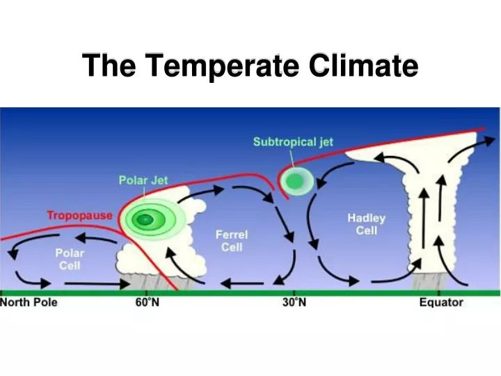 the temperate climate