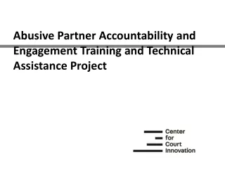 Abusive Partner Accountability and Engagement Training and Technical Assistance Project