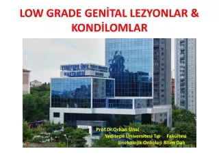 LOW GRADE GENİTAL LEZYONLAR &amp; KONDİLOMLAR