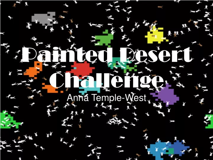 painted desert challenge