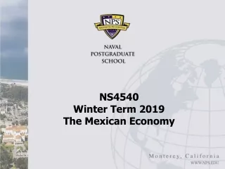 NS4540  Winter Term 2019 The Mexican Economy