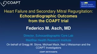Heart Failure and Secondary Mitral Regurgitation: Echocardiographic Outcomes  from the COAPT trial
