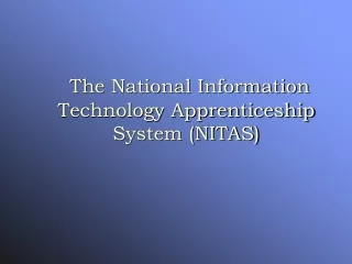 The National Information Technology Apprenticeship System (NITAS)