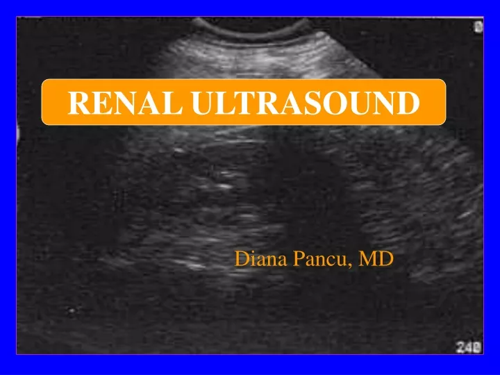 renal ultrasound