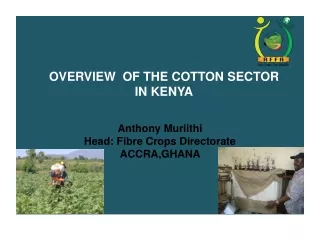 OVERVIEW  OF THE  COTTON SECTOR  IN KENYA