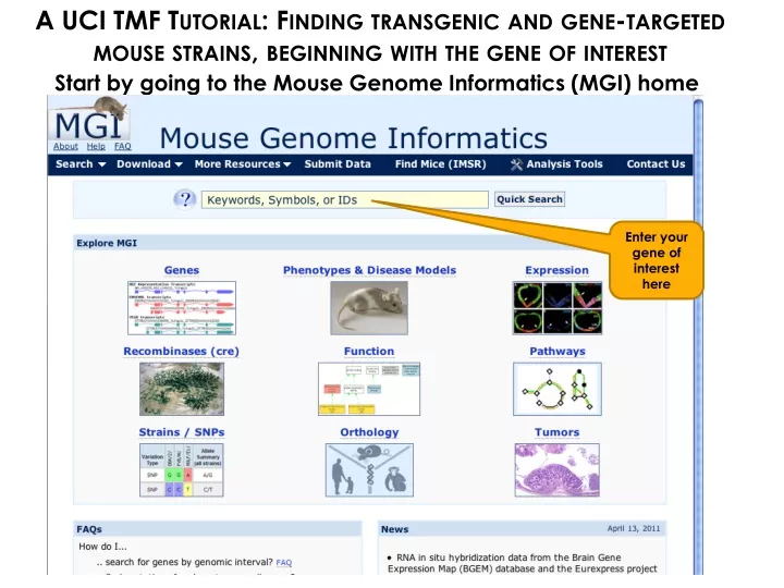 a uci tmf tutorial finding transgenic and gene