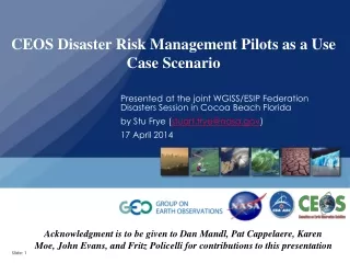 CEOS Disaster Risk Management Pilots as a Use Case Scenario