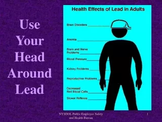 Use Your Head Around Lead