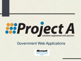 Government Web Applications