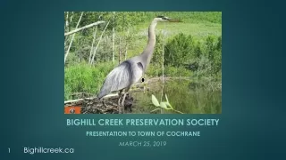 Bighill Creek Preservation Society  Presentation  to Town of Cochrane  March  25, 2019