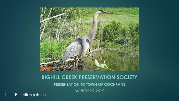 bighill creek preservation society presentation to town of cochrane march 25 2019