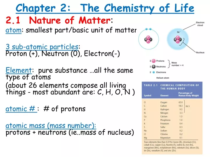 chapter 2 the chemistry of life