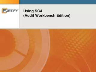 Using SCA (Audit Workbench Edition)