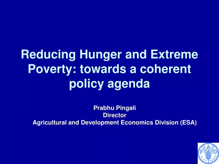 reducing hunger and extreme poverty towards a coherent policy agenda