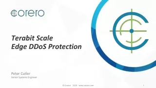 Terabit Scale Edge DDoS Protection