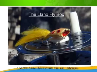 The Llano Fly Box