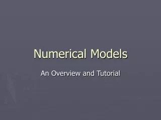 Numerical Models