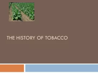 The history of tobacco